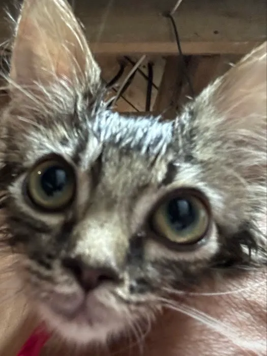 Brunswick Veterinary Clinic Picture 6