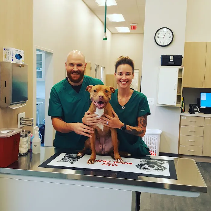 Oak Heart Veterinary Hospital & Emergency at South Saunders Picture 2