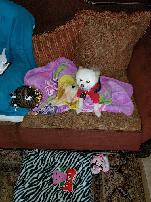 Ansede Animal Hospital Picture 5