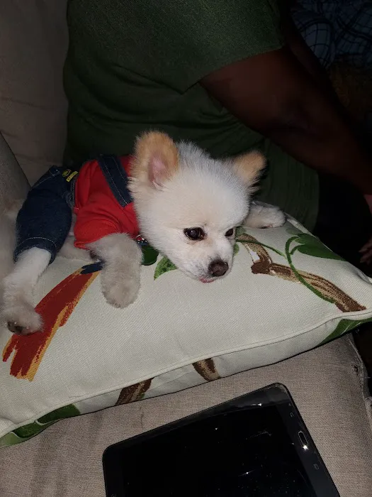 Ansede Animal Hospital Picture 8