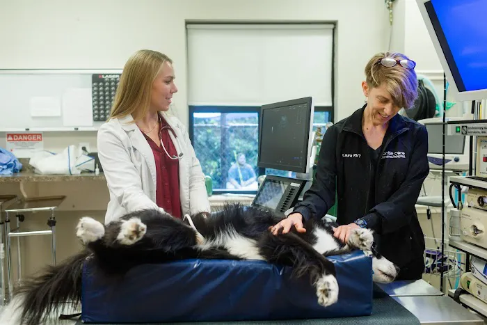 Gentle Care Animal Hospital at Tryon Picture 9