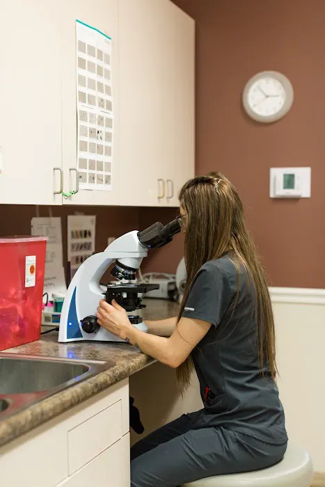Gentle Care Animal Hospital at Tryon Picture 10