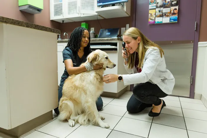 Gentle Care Animal Hospital at Tryon Picture 8