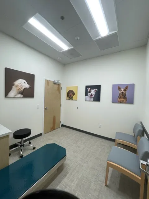 UrgentVet Picture 6