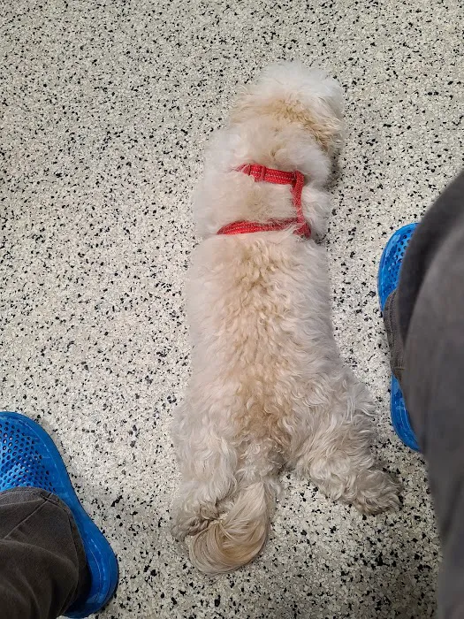 Swift Creek Animal Hospital Picture 9