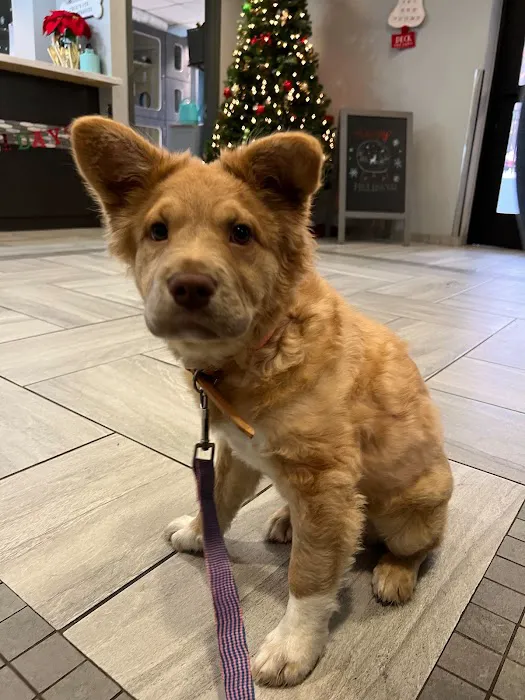 Harmony Animal Hospital Picture 1
