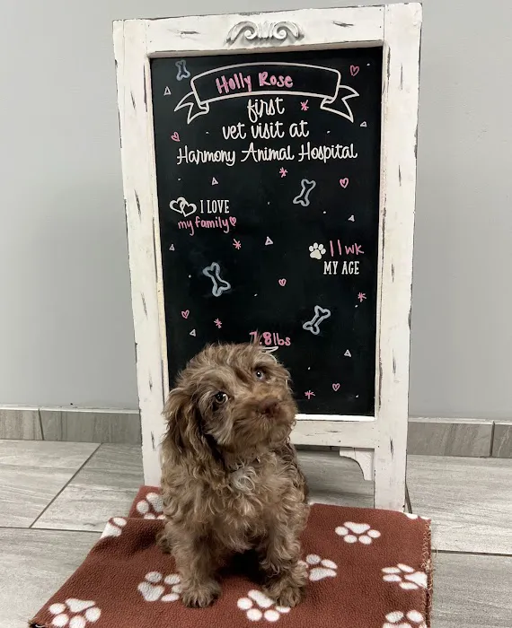 Harmony Animal Hospital Picture 10