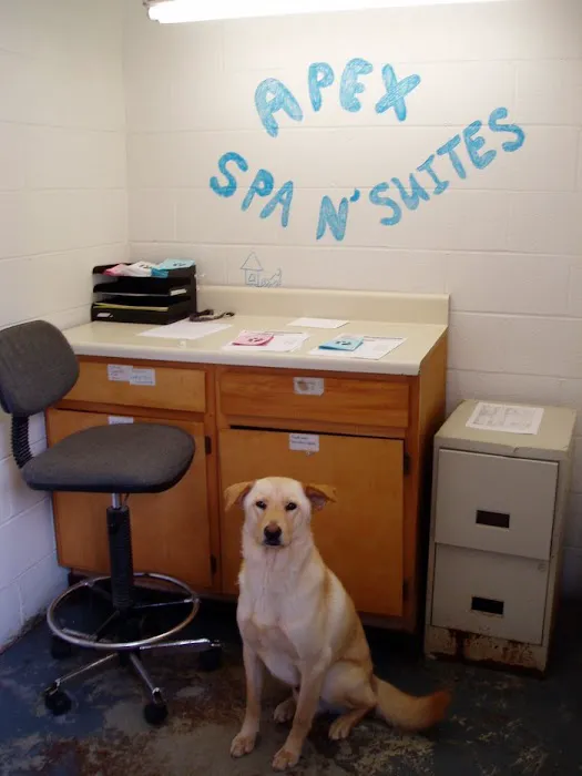VCA Apex Animal Hospital Picture 8