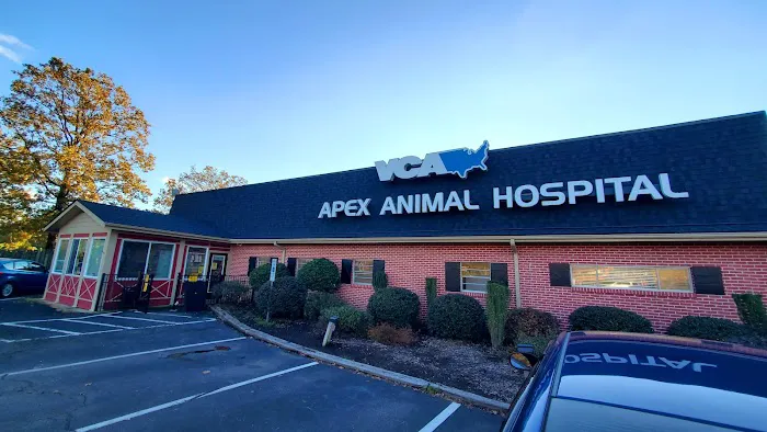 VCA Apex Animal Hospital Picture 2