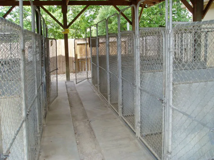 VCA Apex Animal Hospital Picture 10