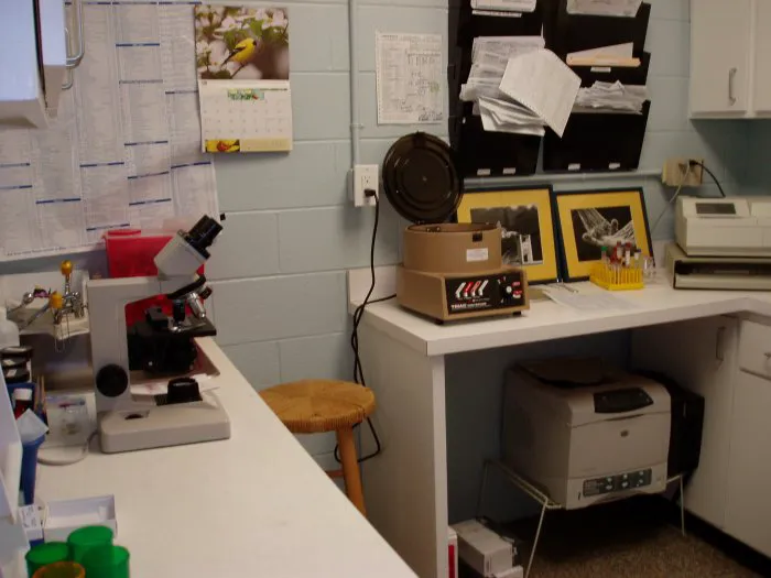 VCA Apex Animal Hospital Picture 9