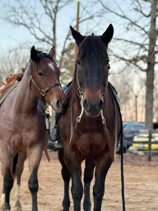 Summit Equine Hospital Picture 3