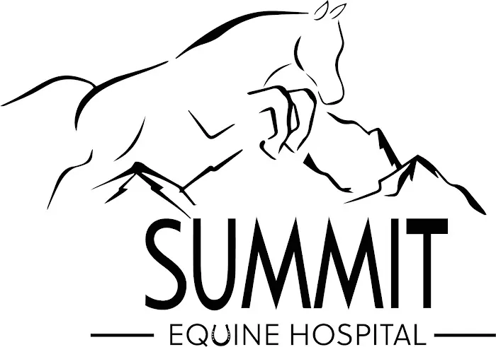 Summit Equine Hospital Picture 4