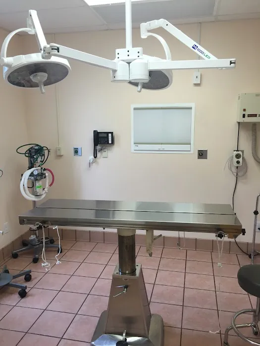 Gentle Care Animal Hospital at Ten Ten Picture 8