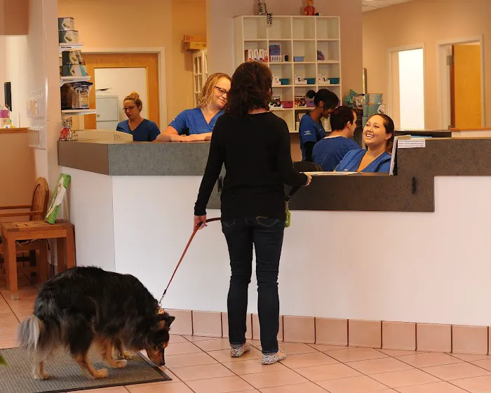 Gentle Care Animal Hospital at Ten Ten Picture 6
