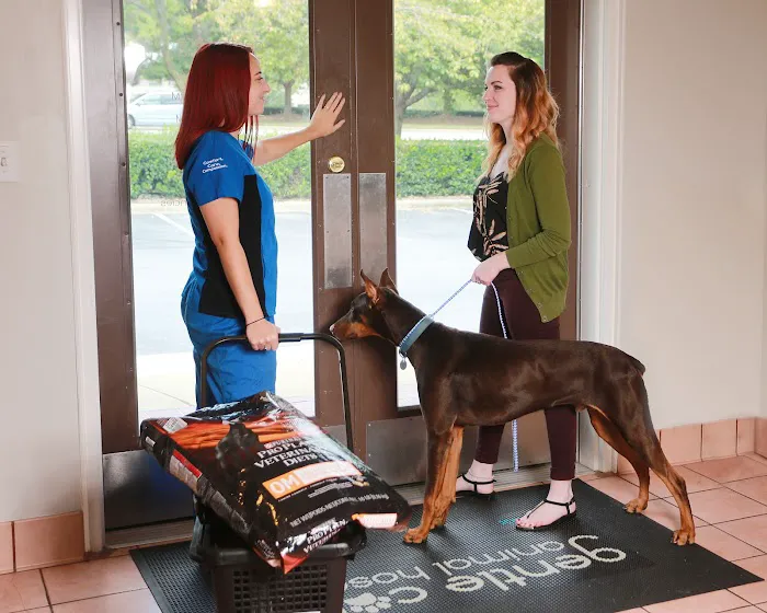 Gentle Care Animal Hospital at Ten Ten Picture 7