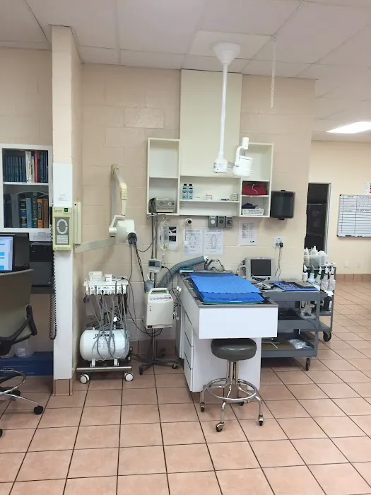 Gentle Care Animal Hospital at Ten Ten Picture 10