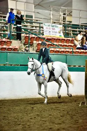 3H Equine Hospital and Mobile Veterinary Services Picture 8