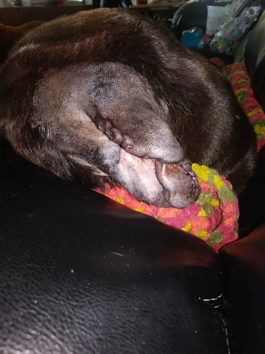 Kilmarnock Animal Hospital Picture 8