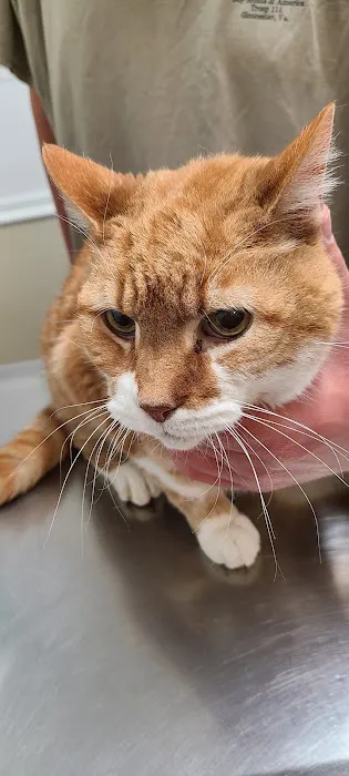 Tri-County Animal Hospital Picture 3