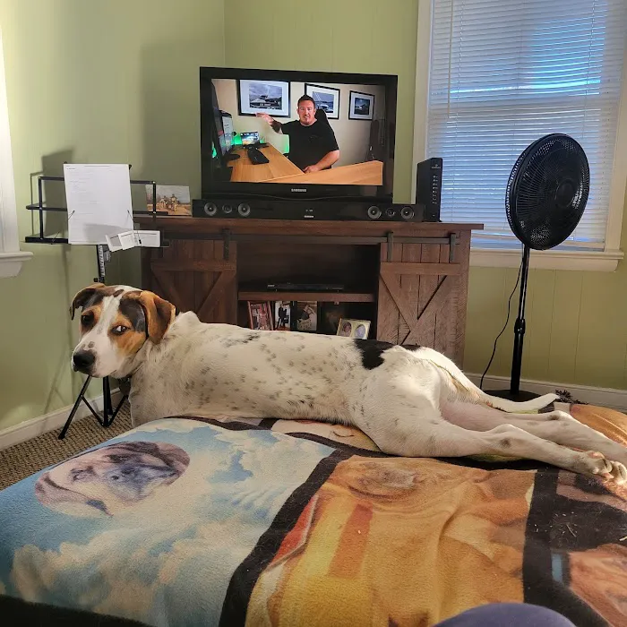 Tri-County Animal Hospital Picture 8
