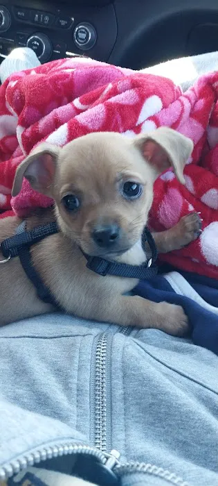 Tri-County Animal Hospital Picture 2