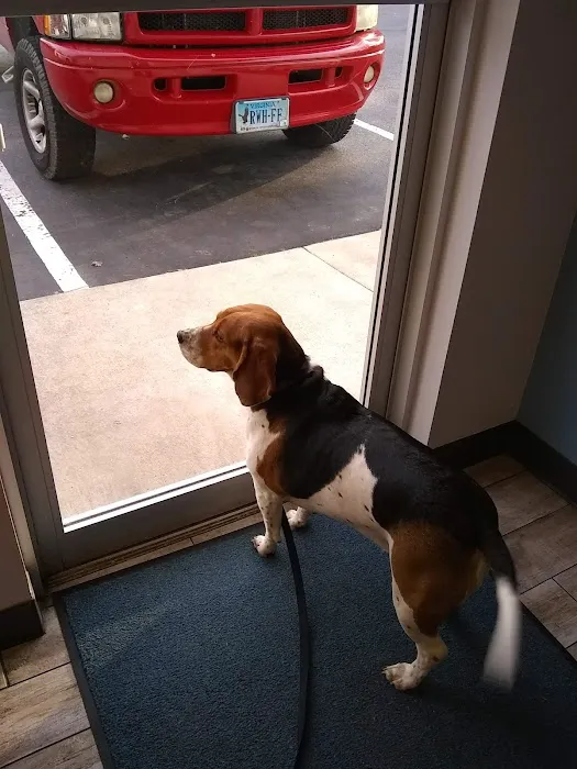 Hartfield Animal Hospital Picture 1