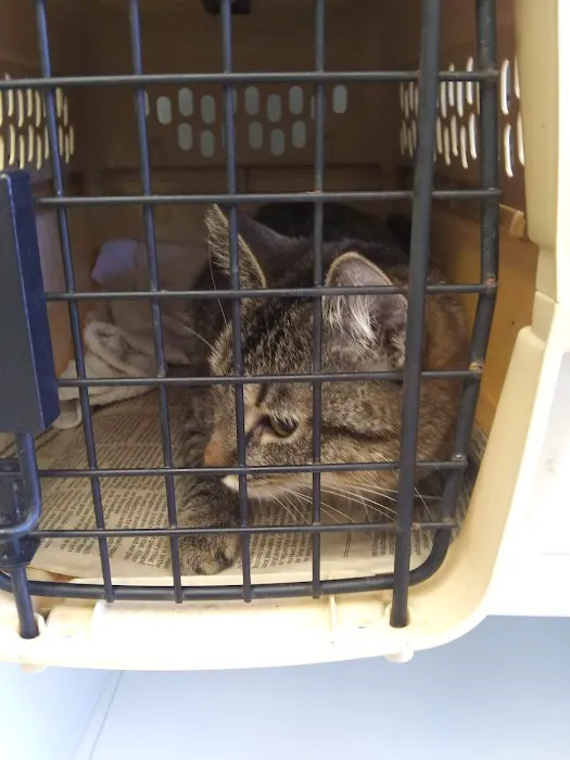 Hartfield Animal Hospital Picture 3