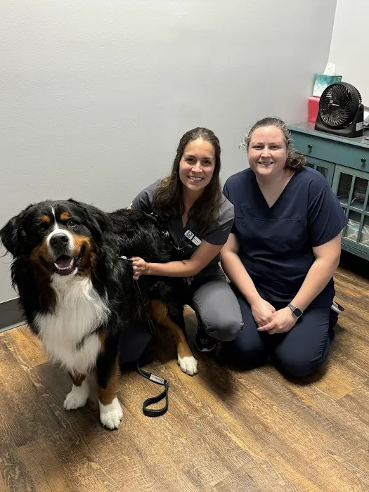 River Run Animal Hospital Picture 2