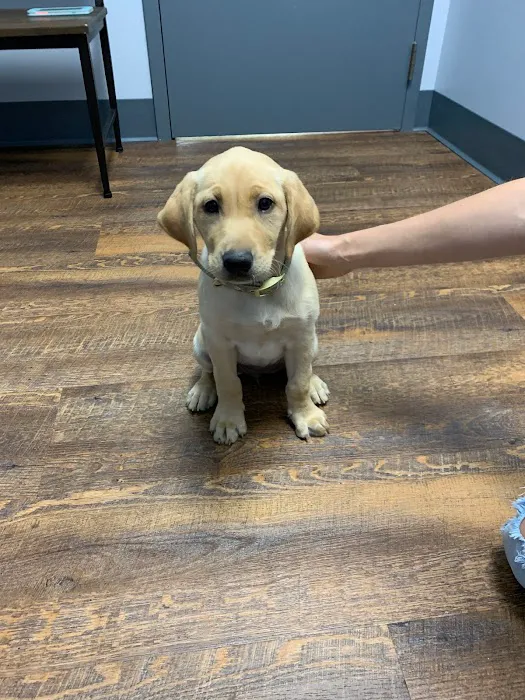 River Run Animal Hospital Picture 10