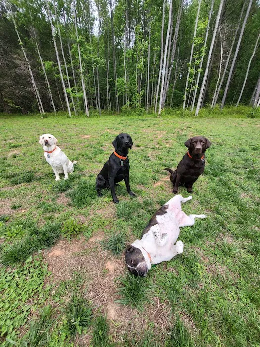 Countryside Veterinary Center Picture 1