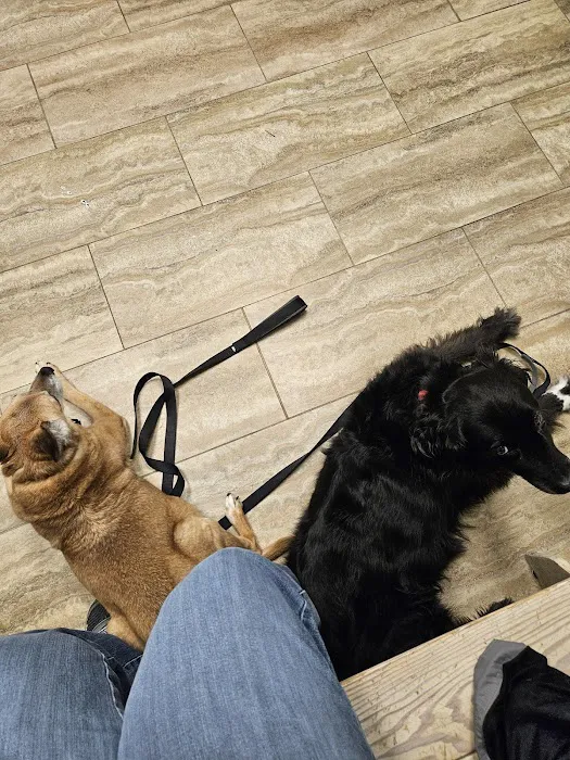 Countryside Veterinary Center Picture 6