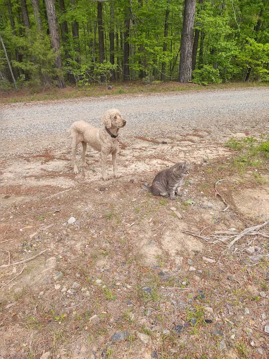 Countryside Veterinary Center Picture 4