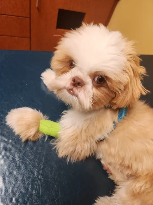 Midlothian Animal Clinic Picture 1