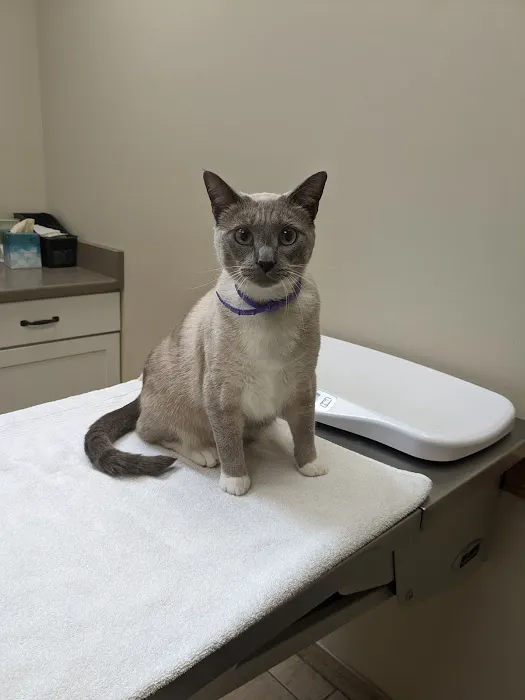 Stratford Hills Veterinary Center Picture 1