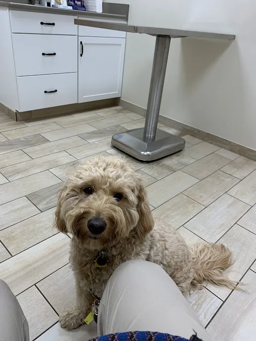 Stratford Hills Veterinary Center Picture 10