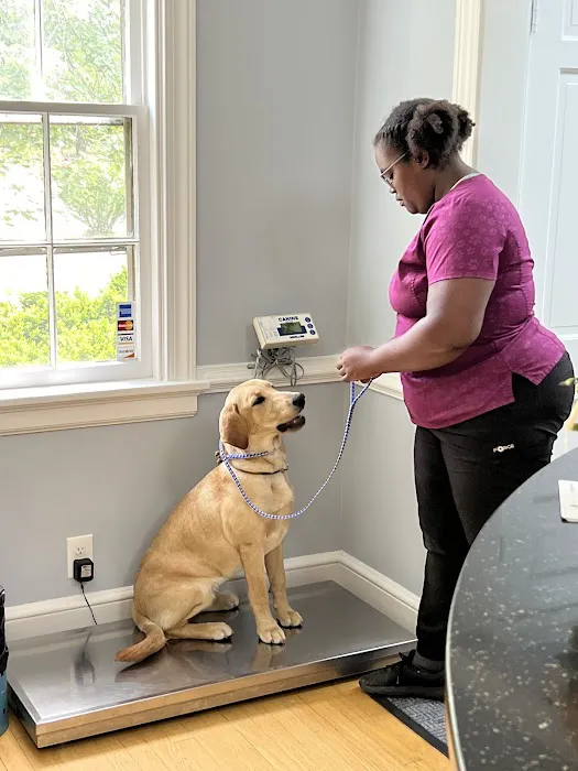 New Market Veterinary Clinic Picture 1