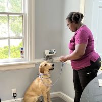New Market Veterinary Clinic ico