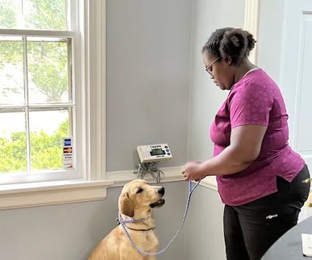 New Market Veterinary Clinic