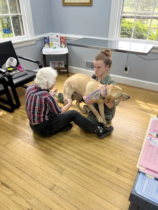 New Market Veterinary Clinic Picture 2