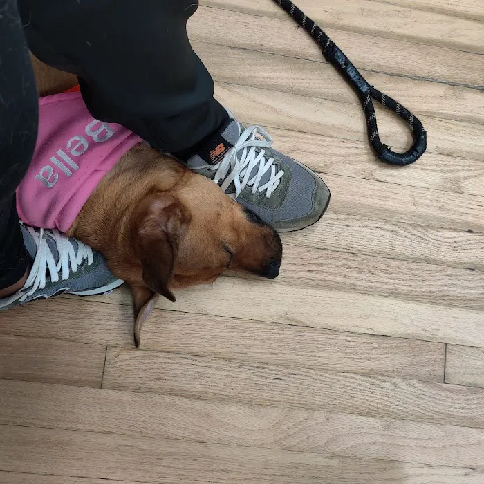 New Market Veterinary Clinic Picture 4