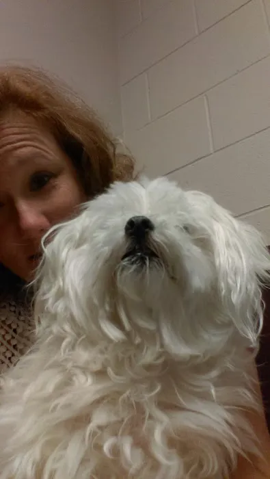 VCA New Kent Animal Hospital Picture 1