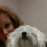 VCA New Kent Animal Hospital