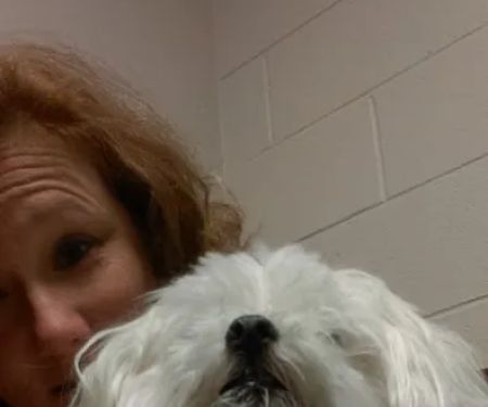 VCA New Kent Animal Hospital