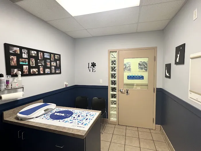 VCA New Kent Animal Hospital Picture 4