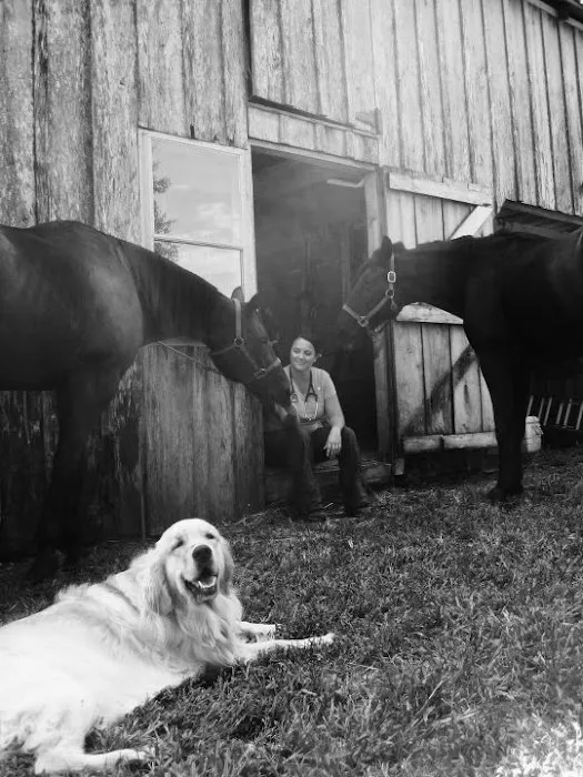 Dover Equine Veterinary Picture 3