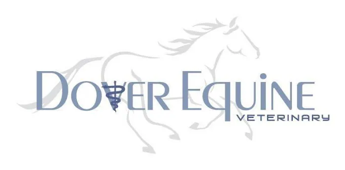 Dover Equine Veterinary Picture 2