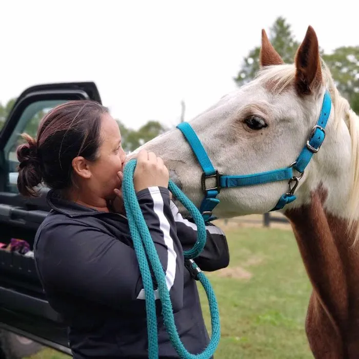 Dover Equine Veterinary Picture 1