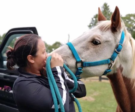 Dover Equine Veterinary