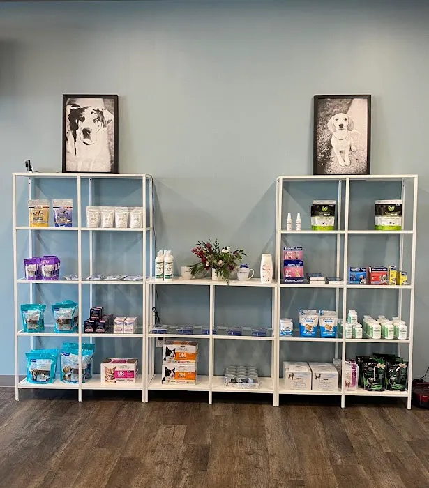 easyvetclinic Midlothian Picture 8